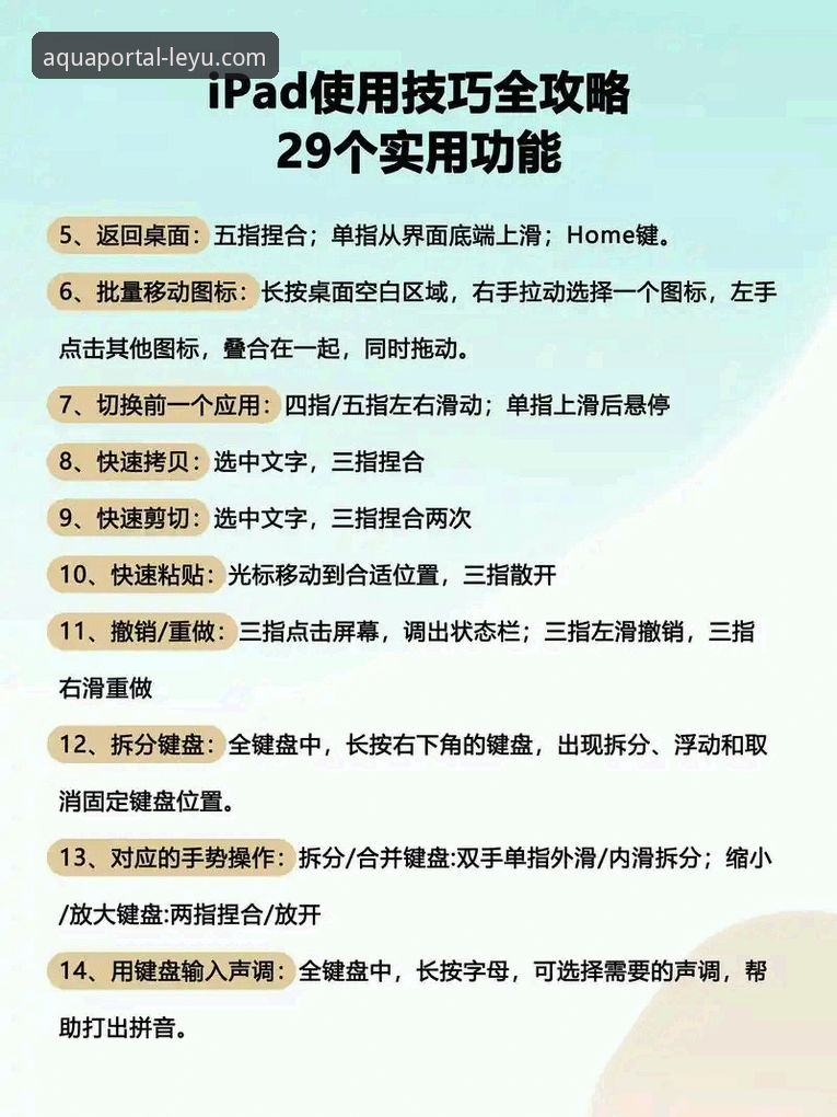 乐鱼体育平台苹果版使用指南：从下载到畅享直播的完整攻略